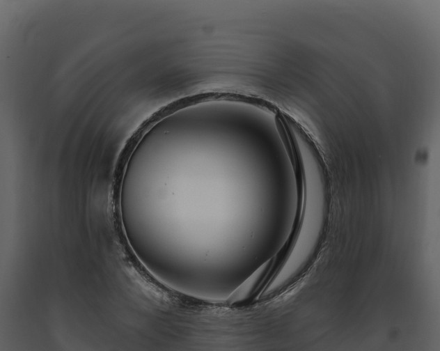 X0000093470880200710191143