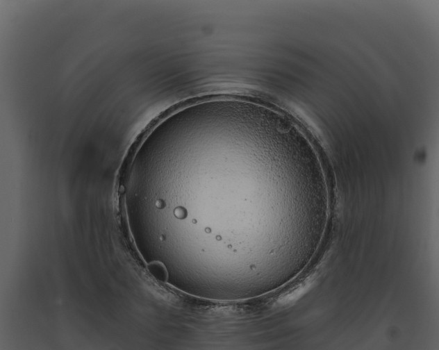 X0000093470883200710191143