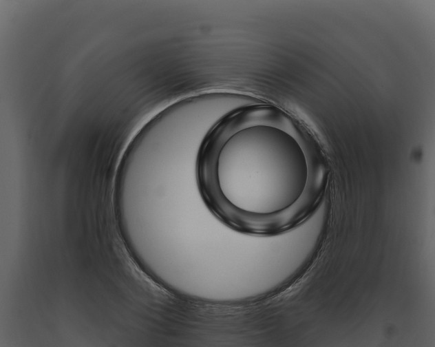 X0000093470884200710191143