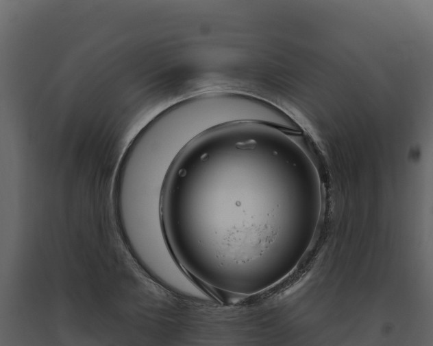 X0000093470885200710191143