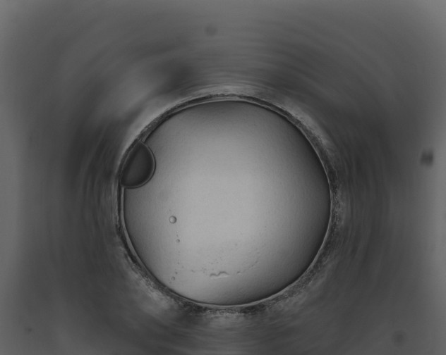 X0000093470886200710191143