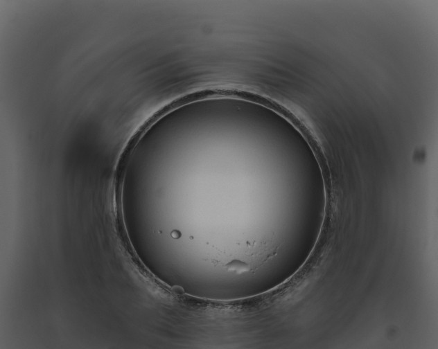 X0000093470887200710191143