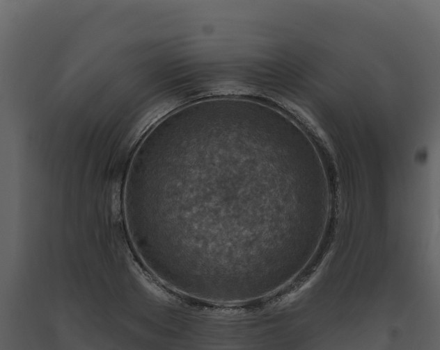 X0000093470889200710191143