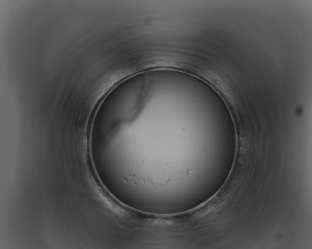 X0000093470890200710191143