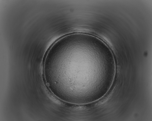 X0000093470891200710191143