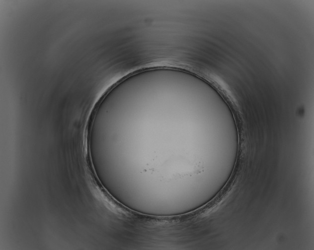 X0000093470892200710191142