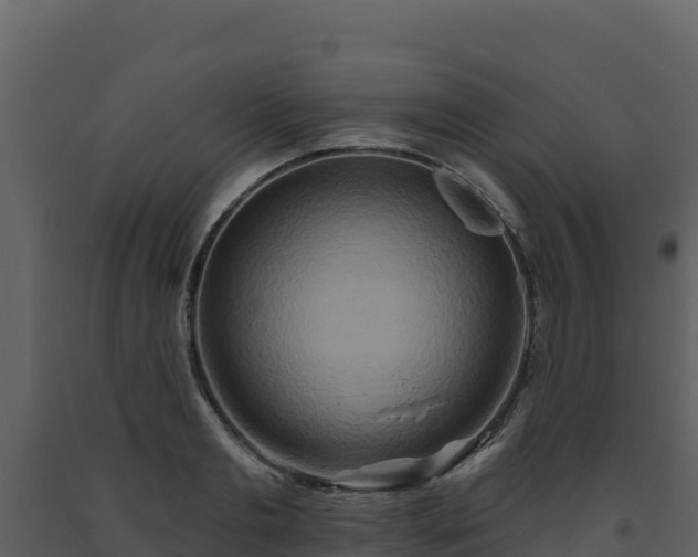 X0000093470893200710191142