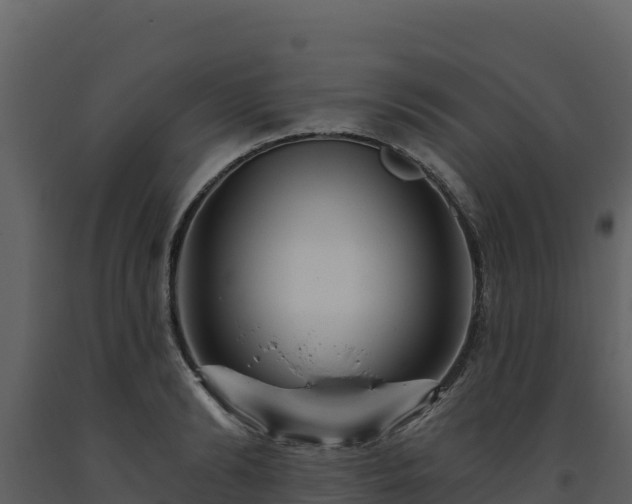 X0000093470894200710191142