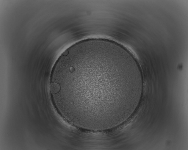 X0000093470895200710191142