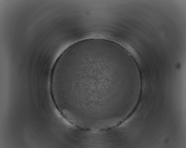 X0000093470896200710191142