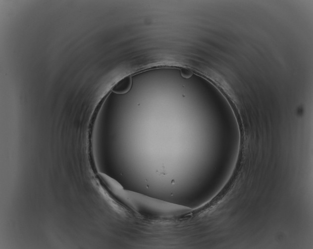 X0000093470898200710191142