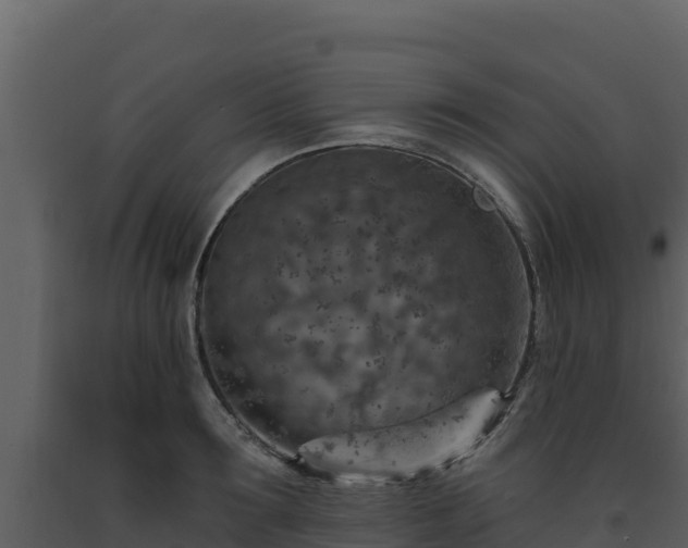 X0000093470899200710191142