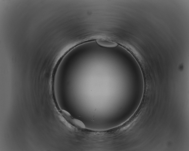 X0000093470902200710191142