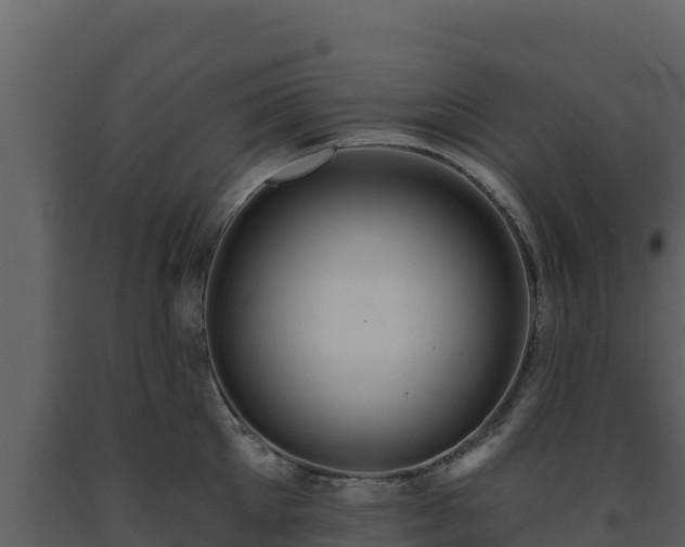 X0000093470905200710191142