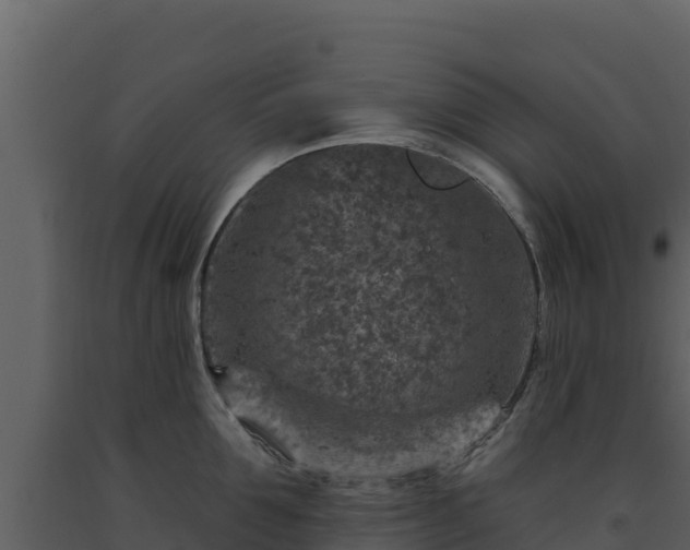 X0000093470907200710191142