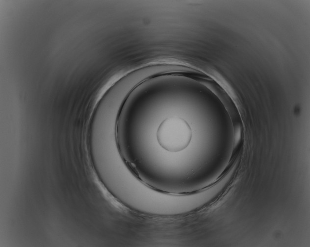 X0000093470909200710191142