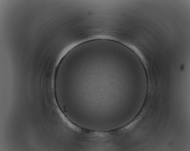 X0000093470910200710191142