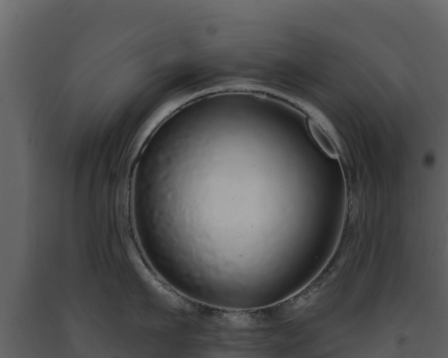 X0000093470911200710191142