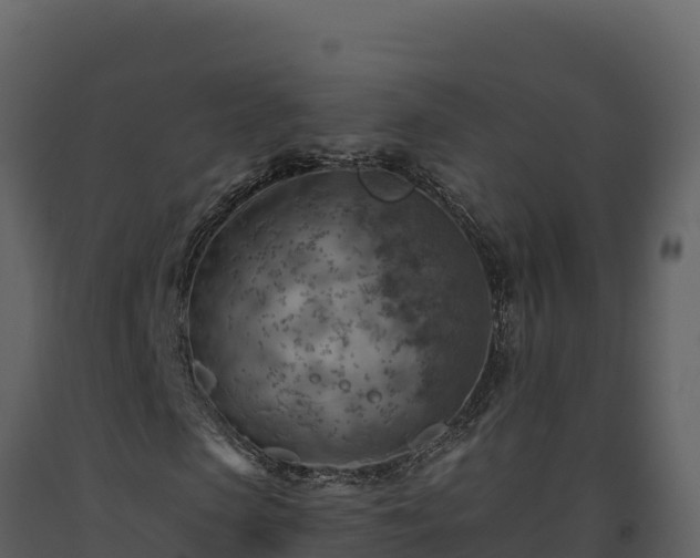 X0000093470913200710191142