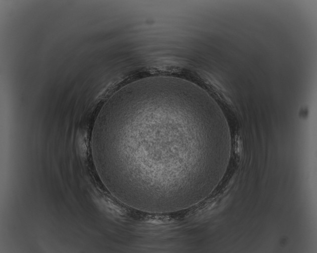 X0000093470915200710191142