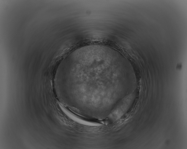 X0000093470916200710191142