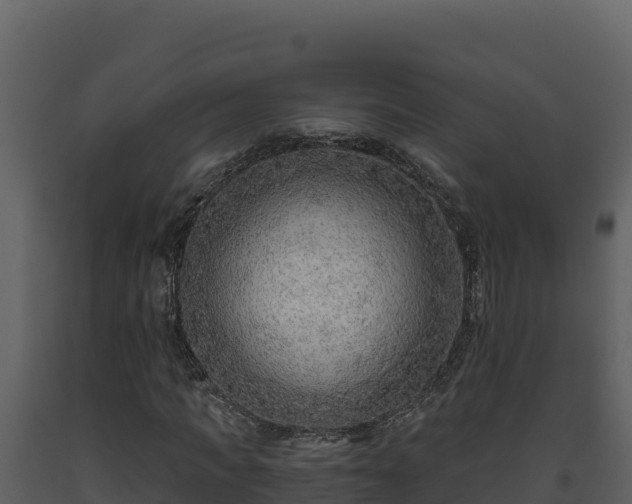 X0000093470917200710191142