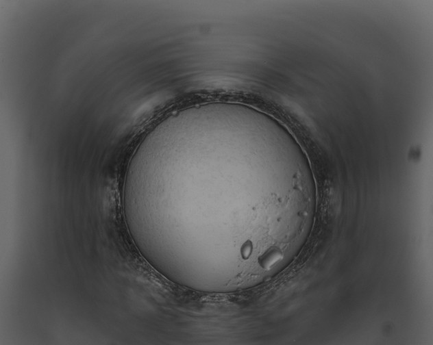 X0000093470918200710191142