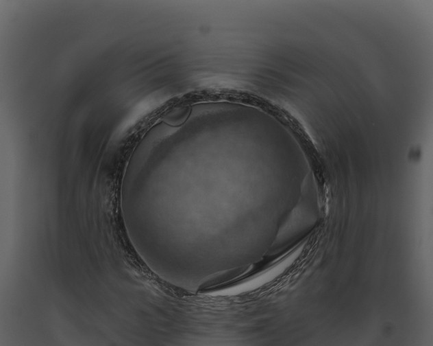 X0000093470919200710191142