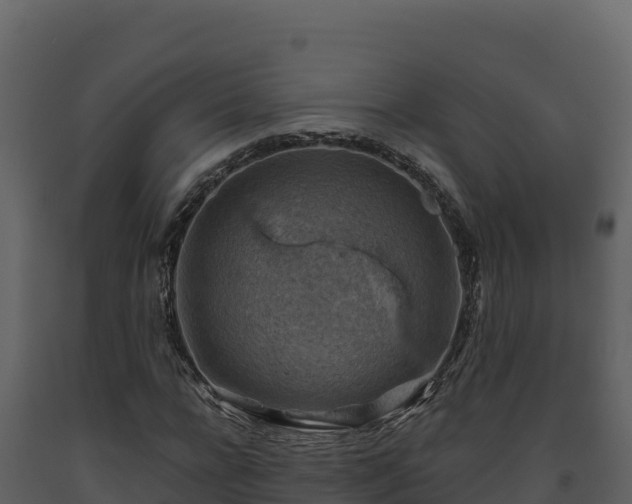 X0000093470920200710191142