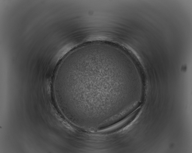 X0000093470921200710191142