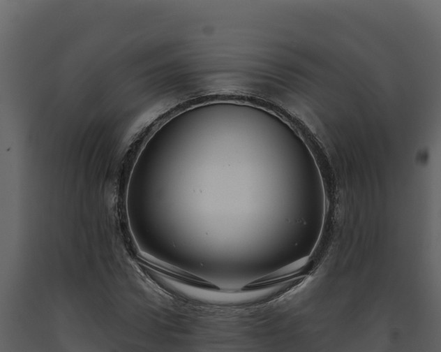 X0000093470922200710191142