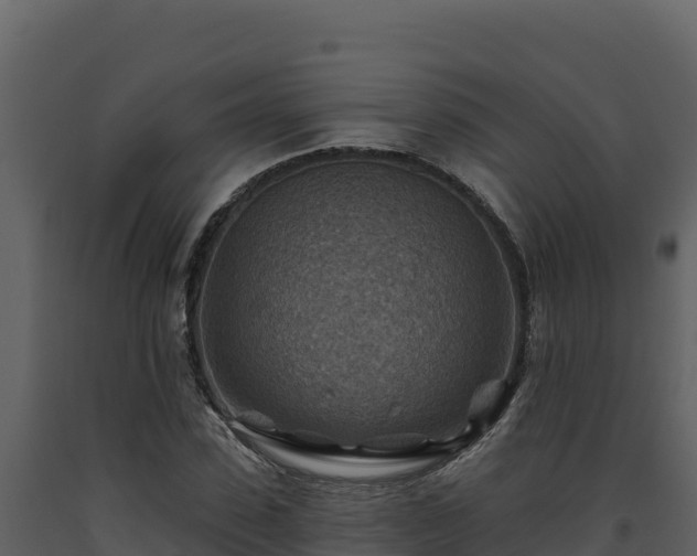 X0000093470923200710191142