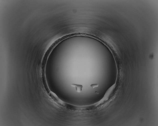 X0000093470924200710191142