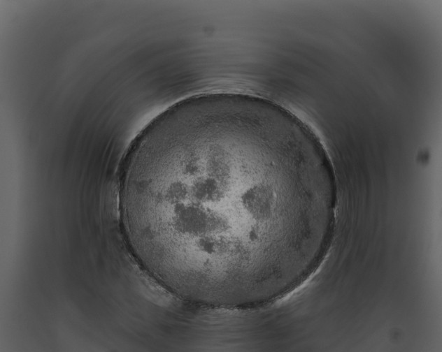 X0000093470925200710191142