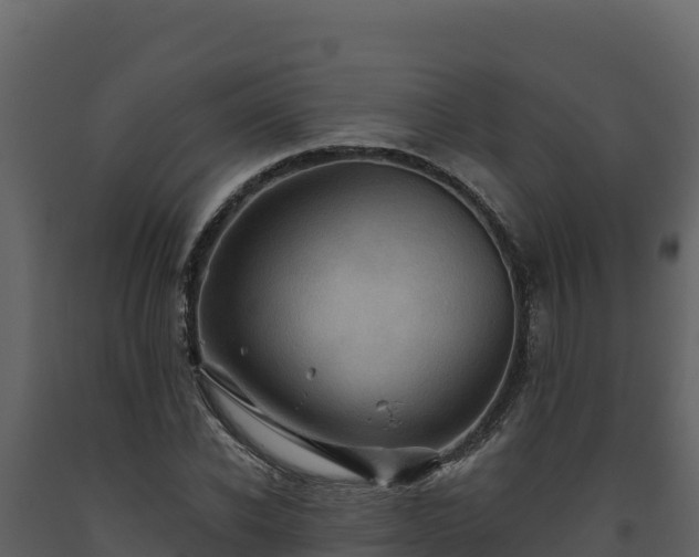 X0000093470926200710191142