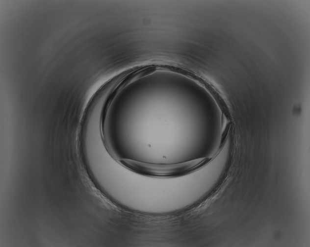 X0000093470928200710191142