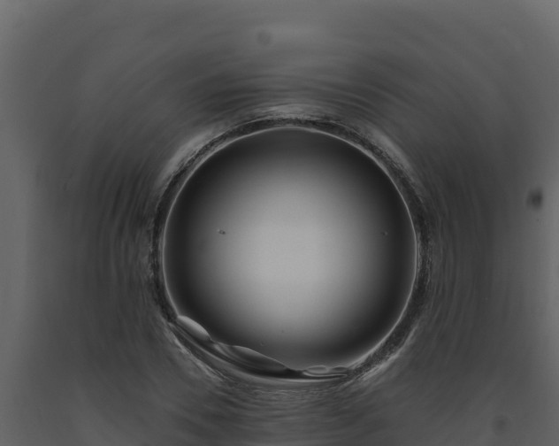 X0000093470930200710191142