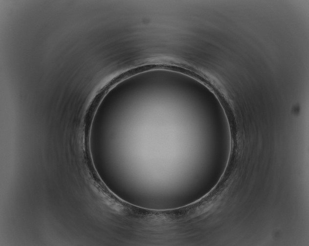 X0000093470931200710191142