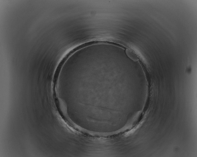 X0000093470932200710191142