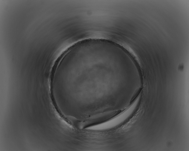 X0000093470935200710191142