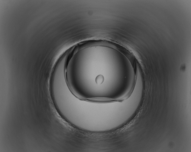 X0000093470936200710191142