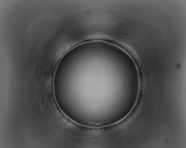 X0000093470937200710191142