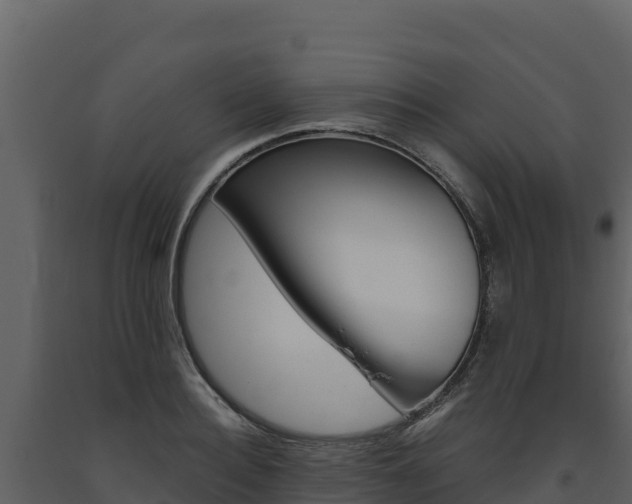 X0000093470940200710191142