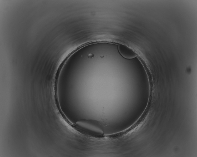 X0000093470941200710191142