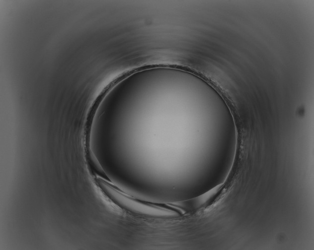 X0000093470942200710191142