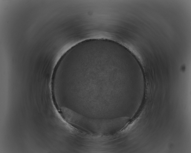 X0000093470943200710191142