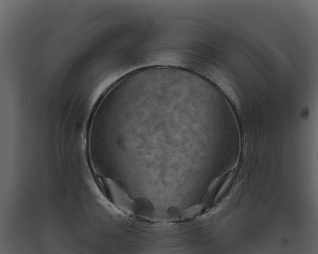 X0000093470944200710191142