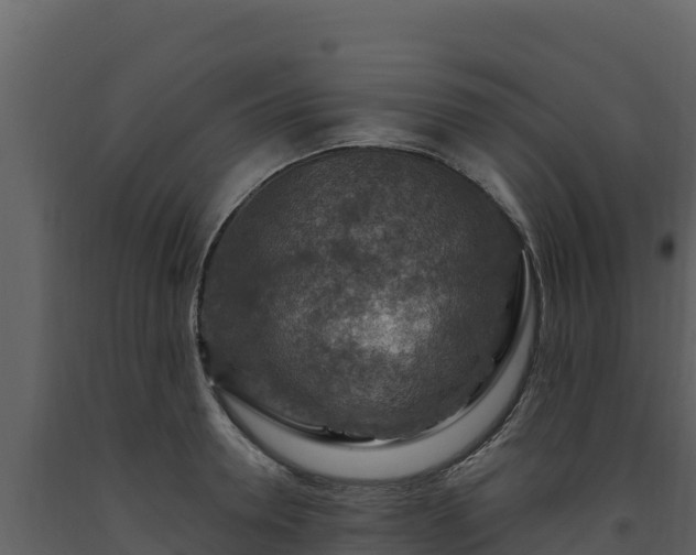 X0000093470946200710191142