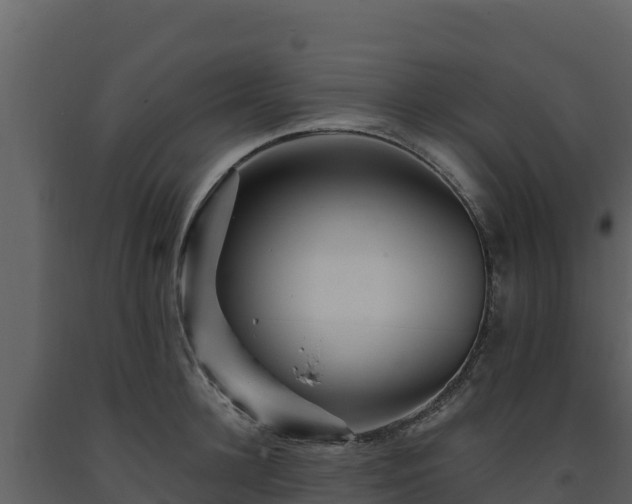 X0000093470948200710191142