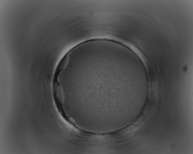 X0000093470951200710191142